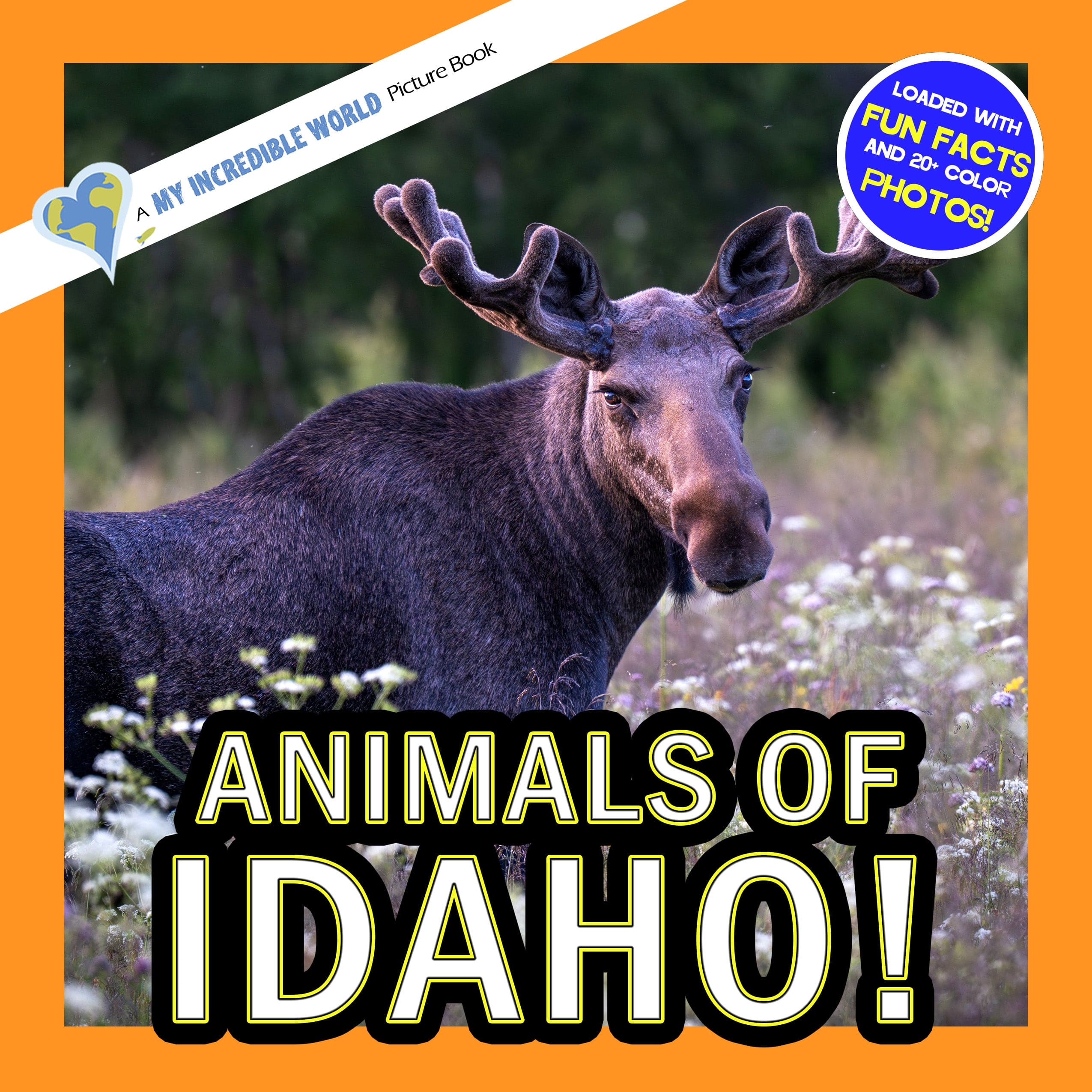 Animals of Idaho! A My Incredible World Picture Book for Children